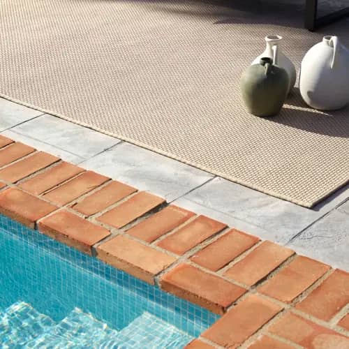 Terra Sahara | Coconut