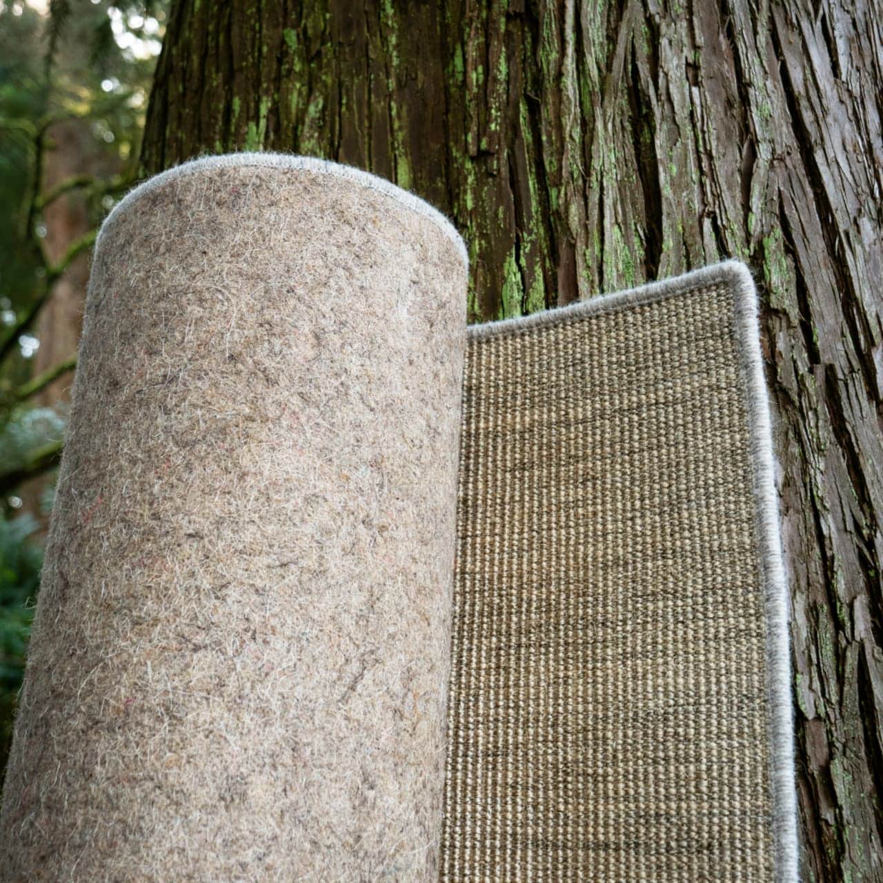 EarthSISAL™ | Birch