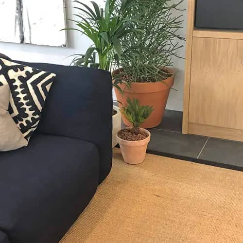 classic: ground your space with a classic sisal rug (madrid in color sahara, shown with black cloth border)