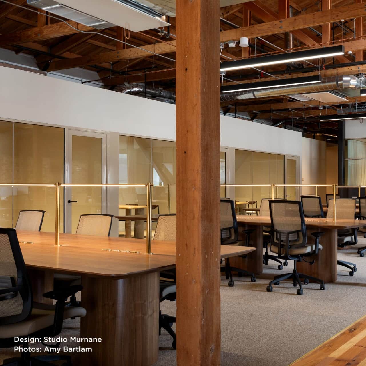 Photo by Amy Bartlam | Designed by Studio Murnane