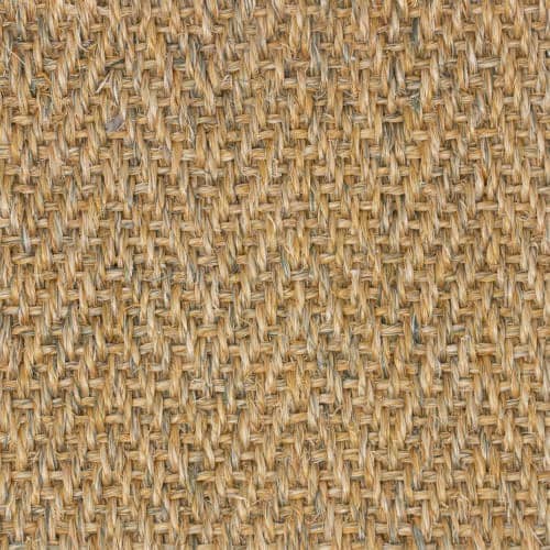 Traveler Brown